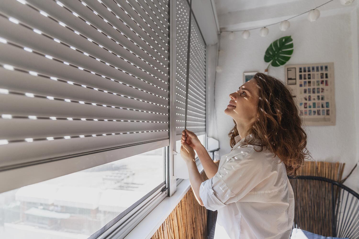 Blinds Online Custom – Tailored Window Solutions for Every Home