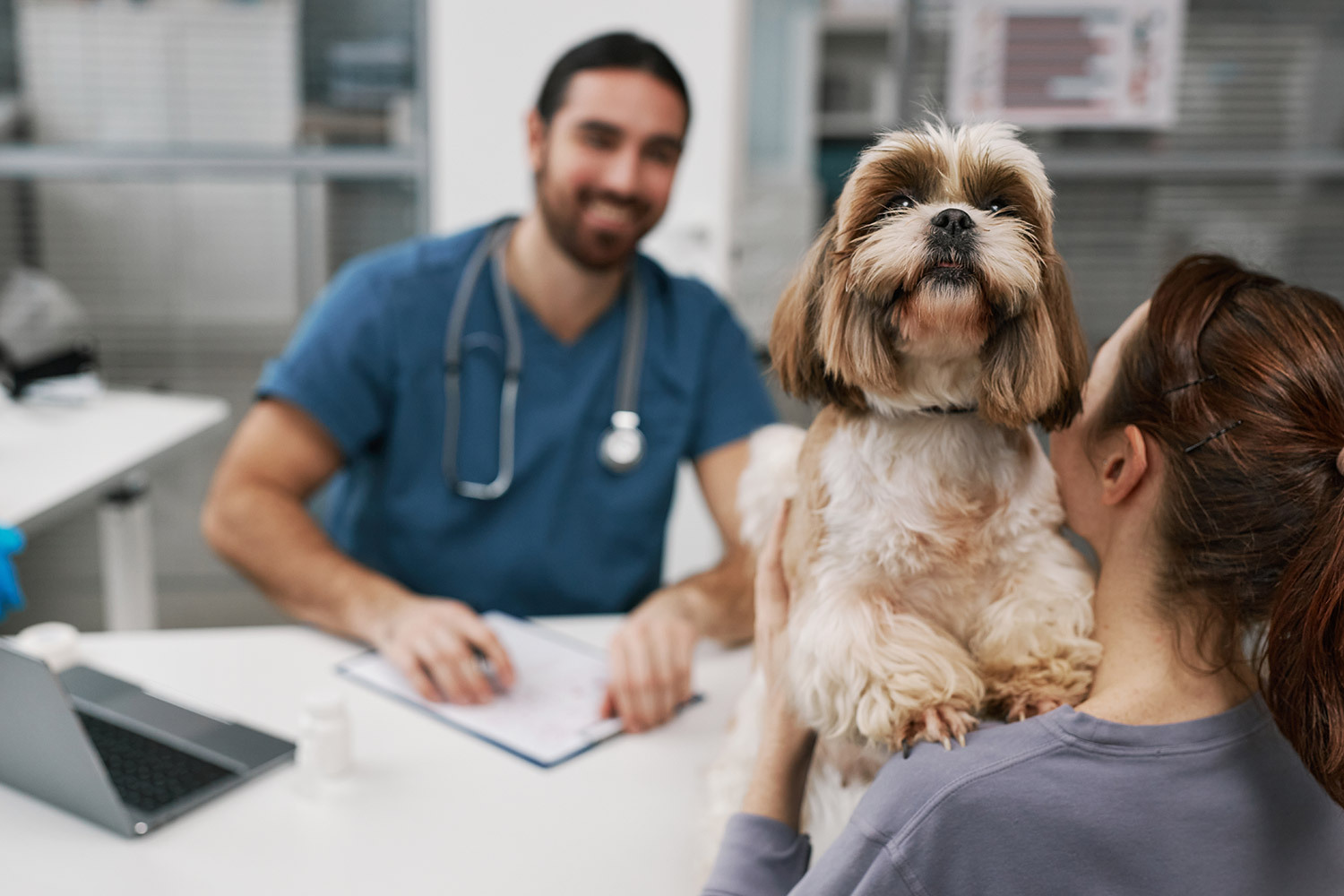 Pet Diarrhea Infections: Causes, Symptoms, and Treatment
