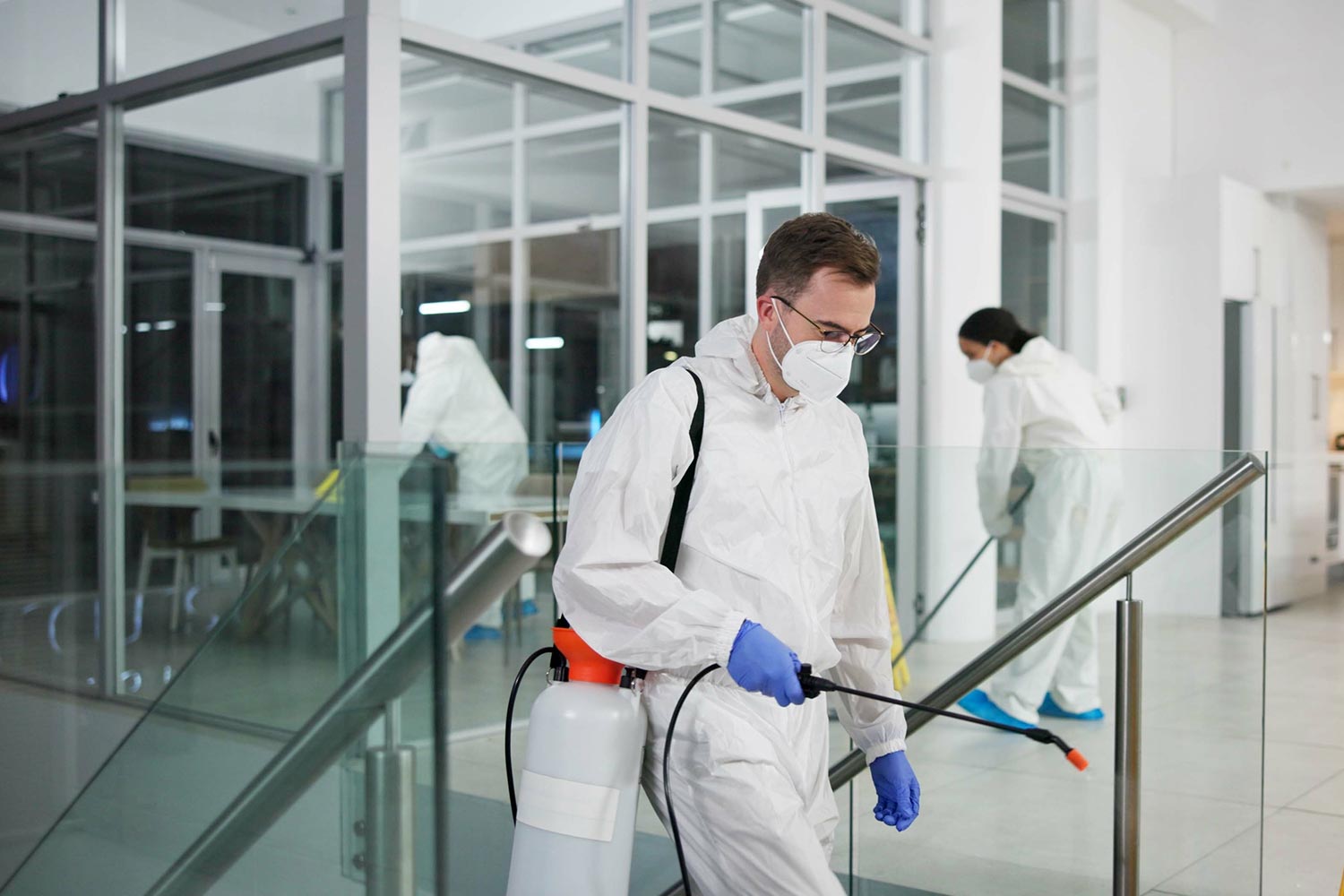 Effective Pest Control Services for Restaurants That Protect Health and Safety