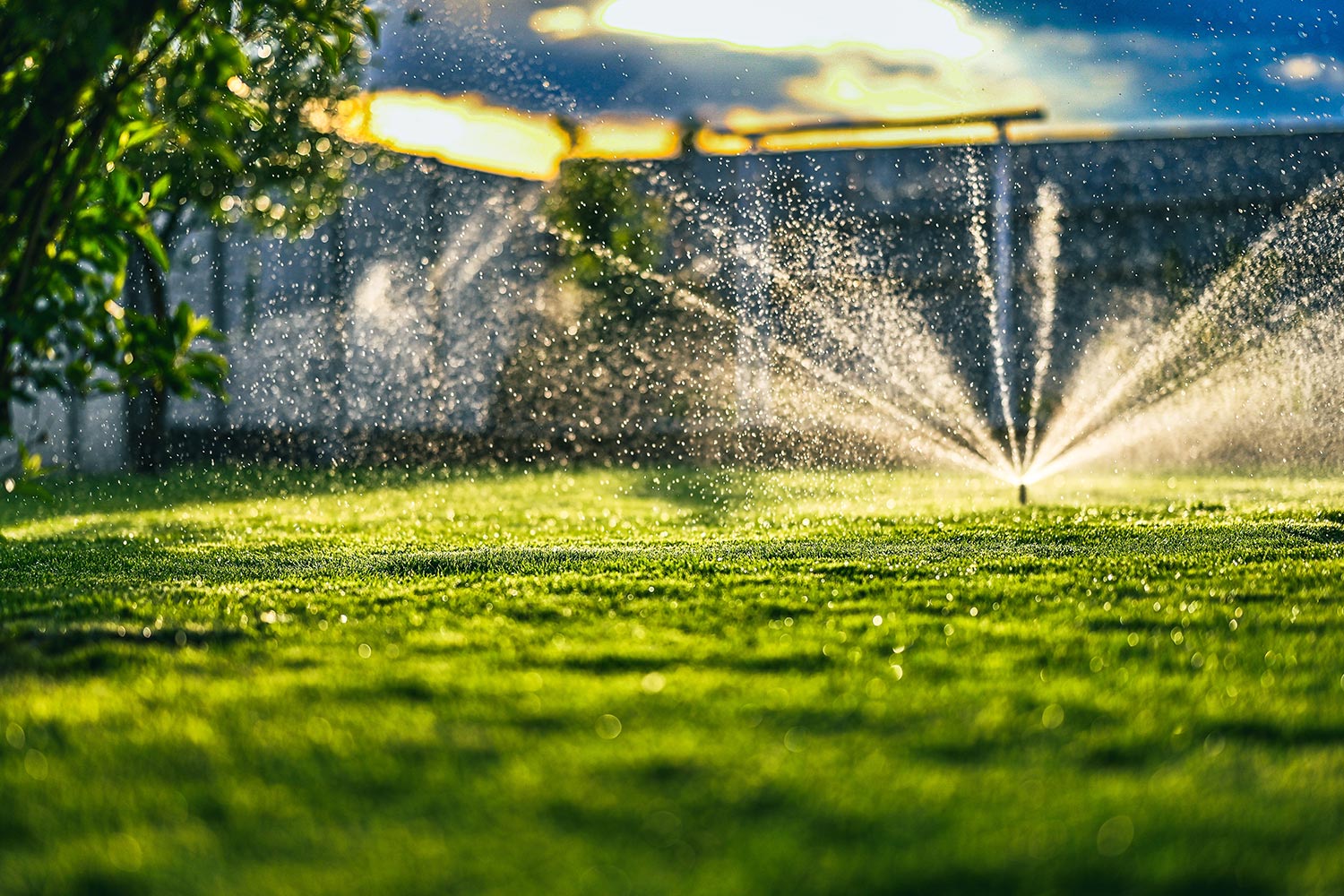 Residential Sprinkler System Costs and Installation Details Explained Clearly