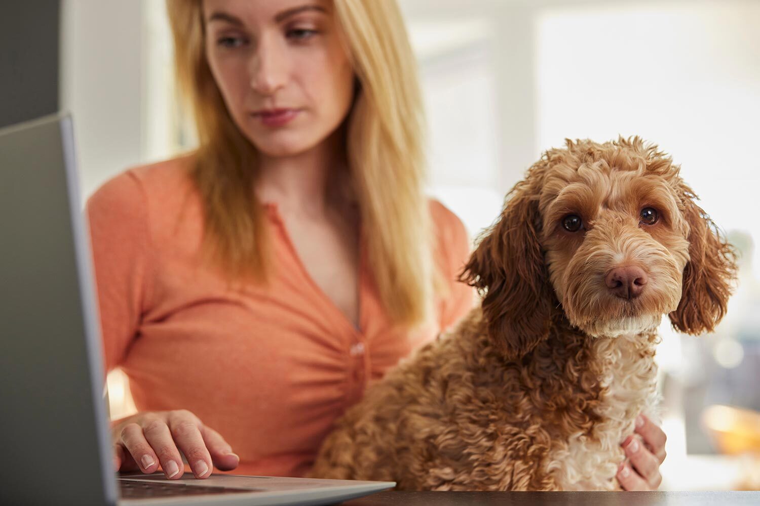 Pet Insurance for Dogs to Help Cover Unexpected Health Costs and Care