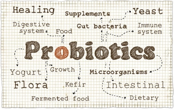 Probiotics: The Key to Transform Gut Health
