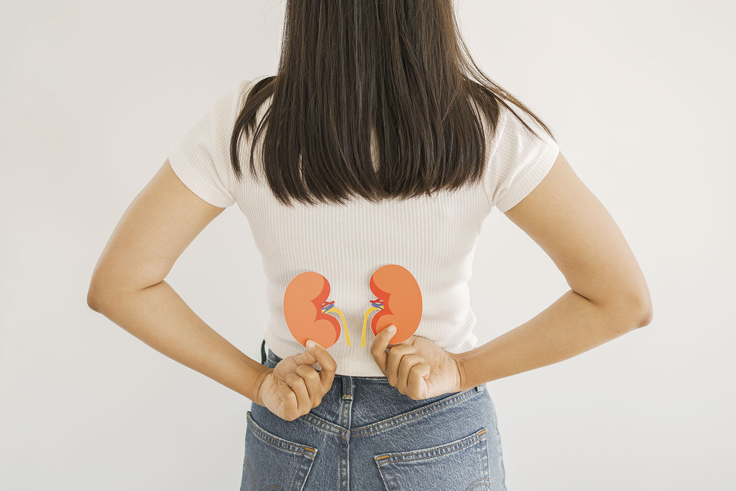 Understanding Nephropathy: Causes, Symptoms, and Treatment Options