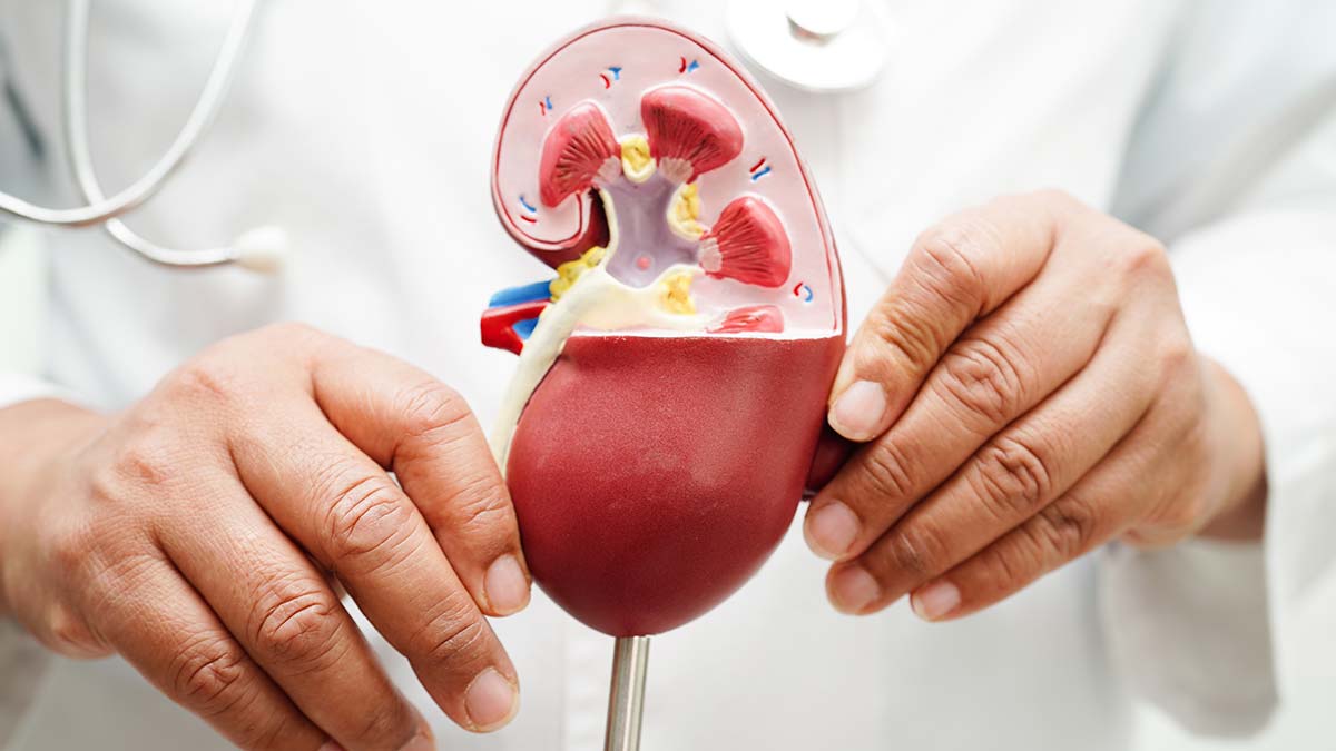 Exploring IgA Nephropathy Clinical Trials in the U.S.