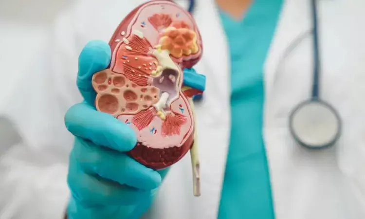 IgA Nephropathy: Causes, Symptoms, and Treatment Explained