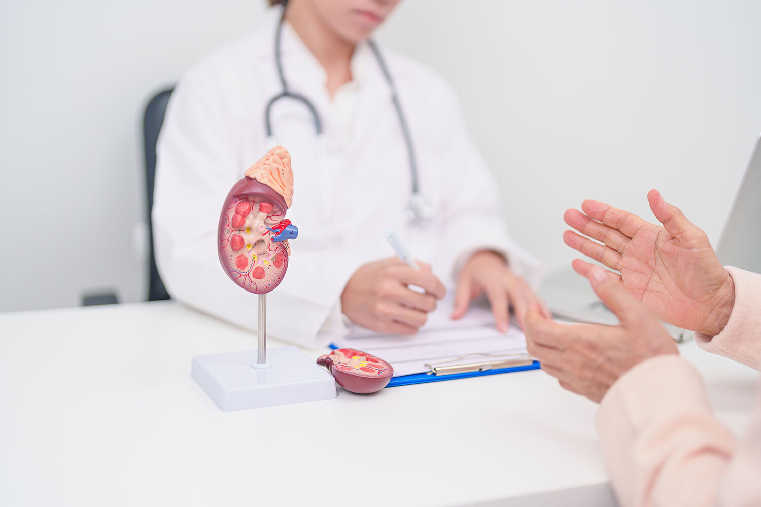 Understanding the Risk Factors for Progression of IgA Nephropathy