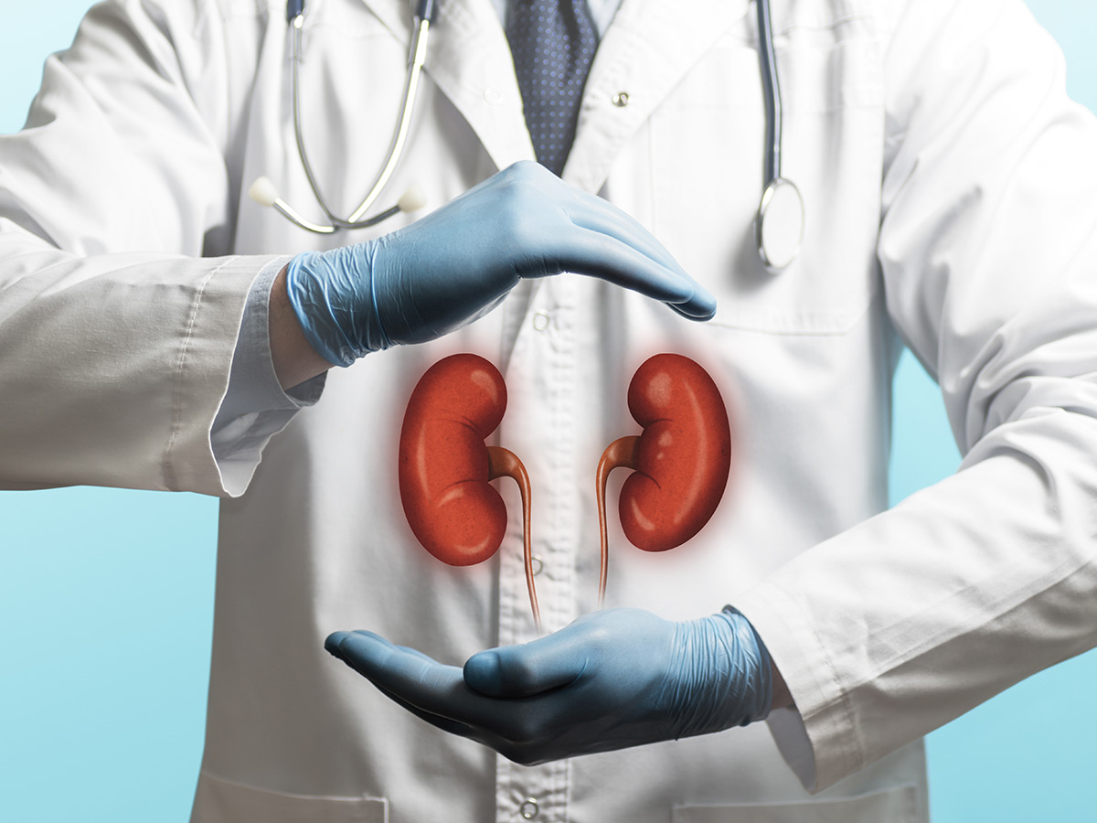Understanding IgA Nephropathy and Kidney Function