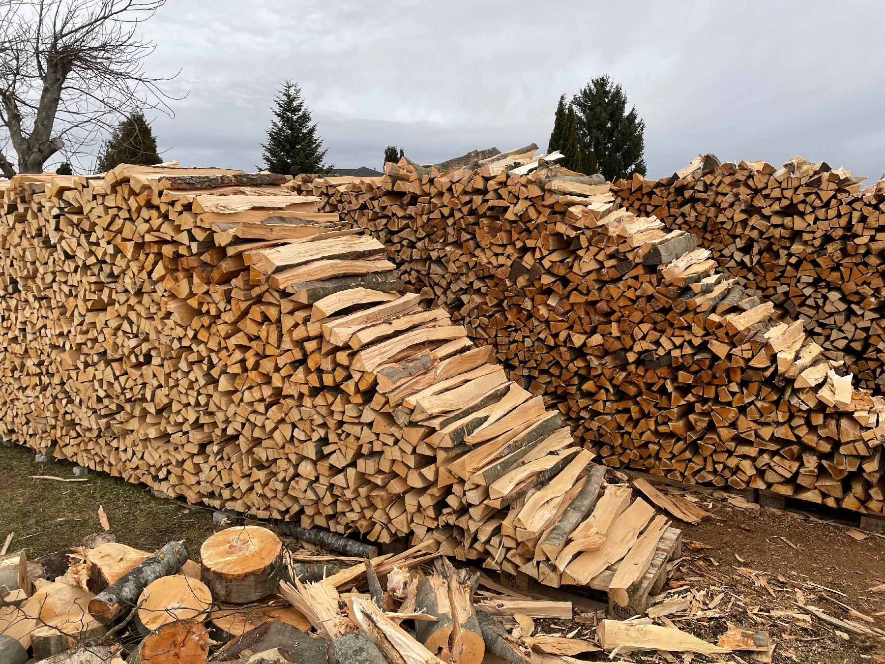 Brennholz in Deutschland: Was Sie beim Kauf und Lagern beachten sollten