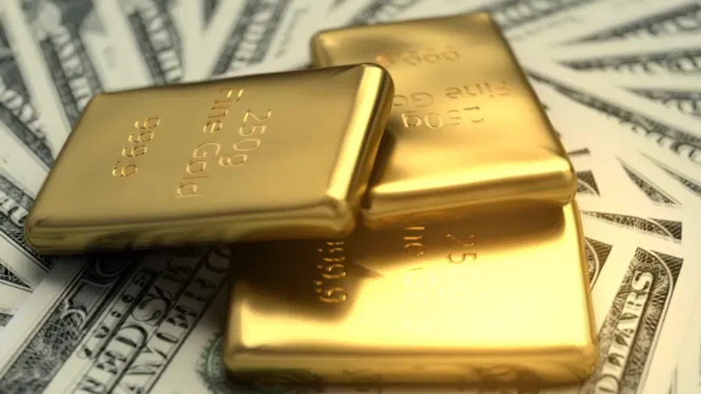 Due Diligence is Golden: A Guide to Choosing a Gold IRA Company