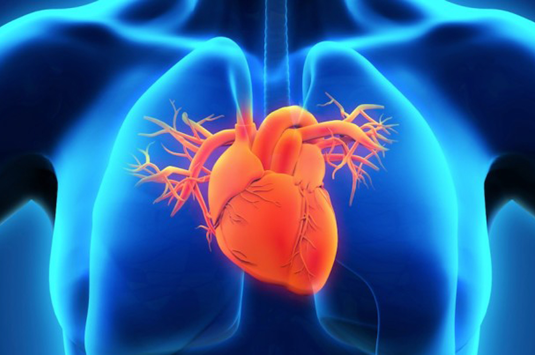 Navigating Chronic Heart Failure: Your Treatment Roadmap