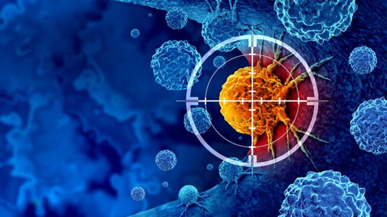 Empowering Your Body's Defense: A Guide to Immunotherapy