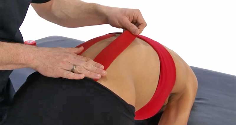Simple Stretches and Habits for a Healthier Back